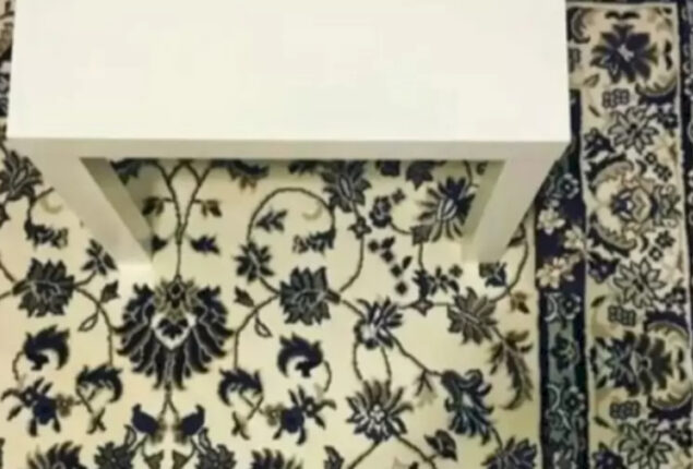 Optical Illusion: Would you believe there’s a phone in this pic?