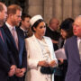 Prince William, King Charles decide to respond appropriately to Prince Harry, Meghan Markle?