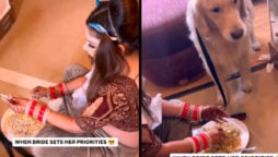 Watch viral: bride pausing her wedding preparations to feed her dog biryani