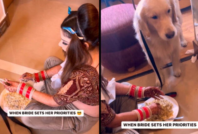 Watch viral: bride pausing her wedding preparations to feed her dog biryani