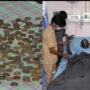 Bizarre Case: Karnataka Man Swallows 187 Coins stunned doctors