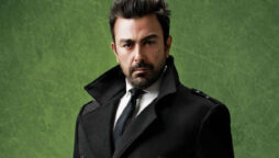 Shaan Shahid