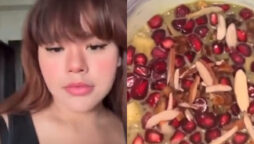 Girl’s What I Eat in a Day Vlog Leaves Netizens Speechless