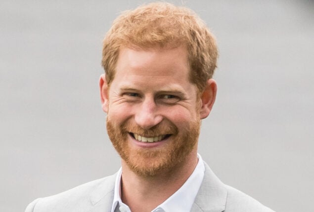 Prince Harry may reveal ‘alleged racist’ in his upcoming memoir