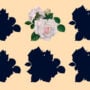Brain Teaser: Identify the right shadow of the flowers in 10 secs!
