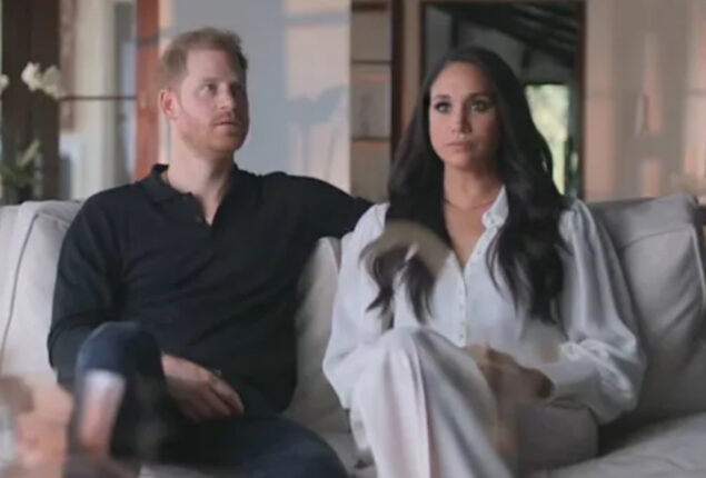 Prince Harry accidently made peculiar statement regarding Meghan Markle