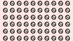 Optical Illusion: Find the oddball in 9 seconds