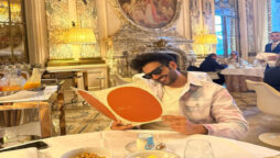 Kartik Aaryan poses smiling while reading menu at Paris hotel