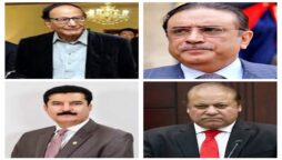 Zardari meets Shujaat, Kundi calls on Nawaz in London