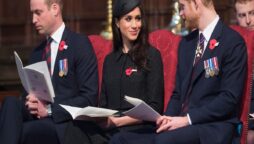 Meghan Markle had to choose between Prince Harry or Prince William?