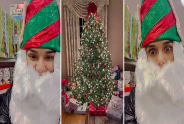 Preity Zinta dresses up as Santa Claus, decorates Christmas tree