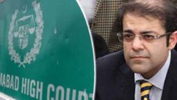 IHC grants protective bail to Salman Shehbaz