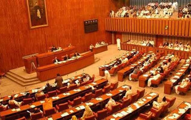 Senate body SBP industry policies
