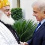 Shehbaz, Fazl agree to politically fight PTI at every level