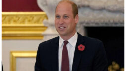 Buckingham Palace’s ‘speedy apology’ saves Prince William’s US tour