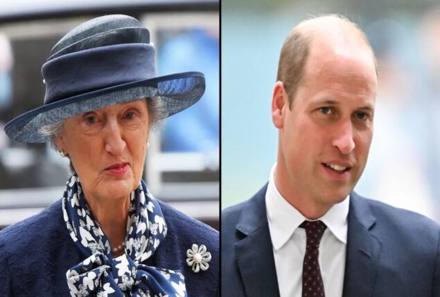 Prince William reacts on Lady Hussey’s controversial resignation