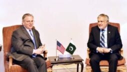 Finance Minister thanks US Ambassador for supporting Pakistan