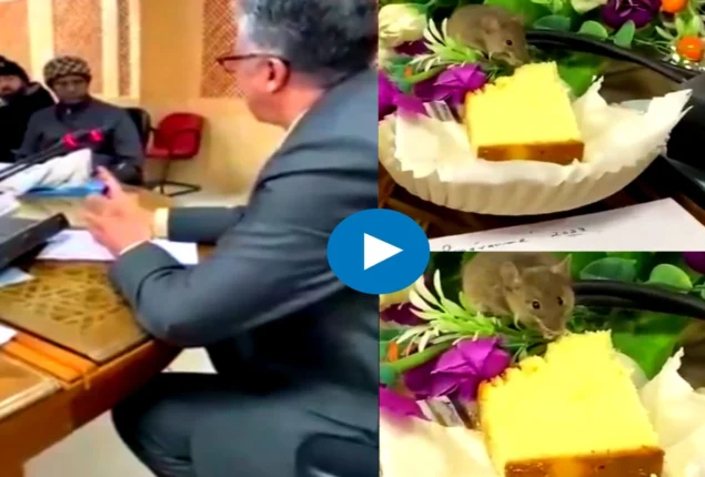 Is Pakistan source of popular video of a mouse eating cake during a meeting?