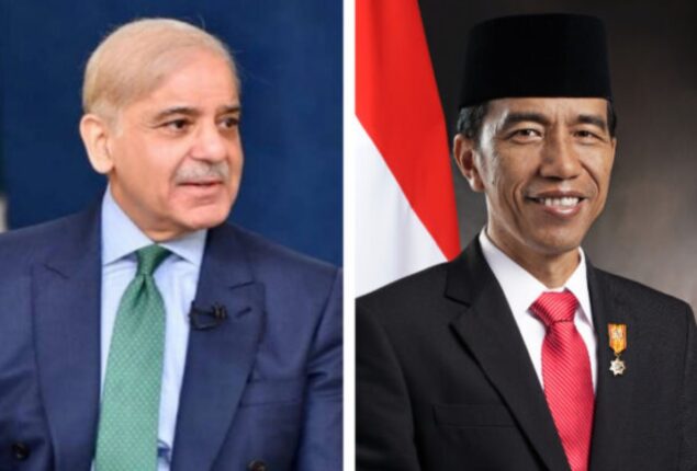 Cabinet approves Indonesia’s humanitarian grant for flood victims