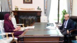 PM reiterates Pakistan’s desire for peaceful Afghanistan