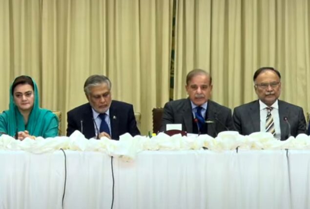 Prime Minister Shehbaz rejects ‘default risk’ rumours