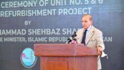 Cheap power generation crucial as energy import bill swells: PM Shehbaz
