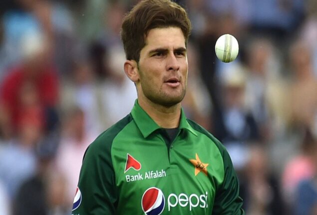 Shaheen Afridi has been shortlisted for ICC Men’s Player of the Month award