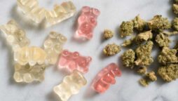 Young teenagers consuming marijuana edibles by mistake soars