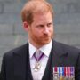 Prince Harry’s statement sparks outrage during British-Iranian’s execution