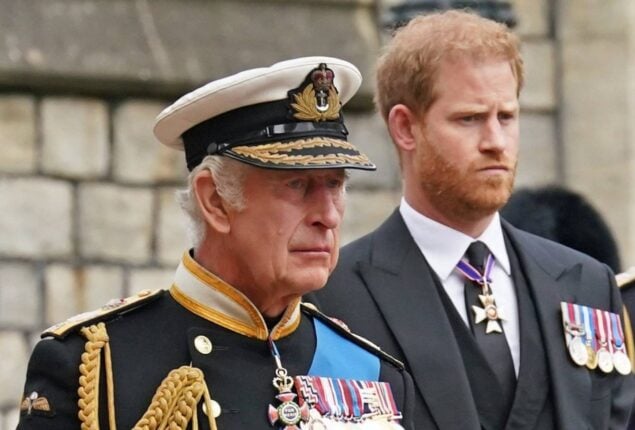 King Charles heartbroken by accusations of Prince Harry