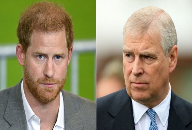 Prince Harry publicly criticizes uncle Prince Andrew