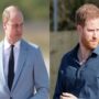 Prince William rejects Prince Harry’s request for talks
