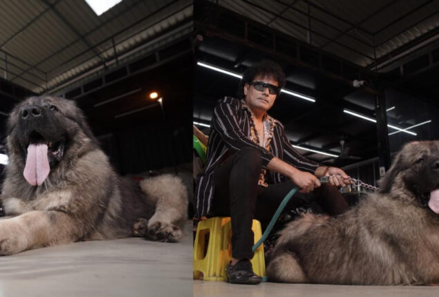 Bengaluru guy pay 20 crore for Caucasian shepherd