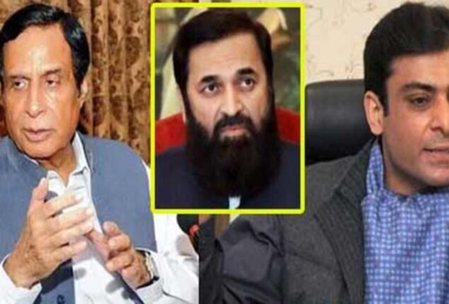 caretaker parliamentary committee