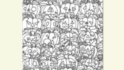Seek and Find: Find hummingbird among the jack o’lanterns 
