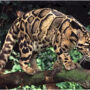 Clouded leopard who escaped at Dallas Zoo is found