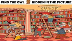Picture Puzzles: Intelligent people can find the Owl in this Library