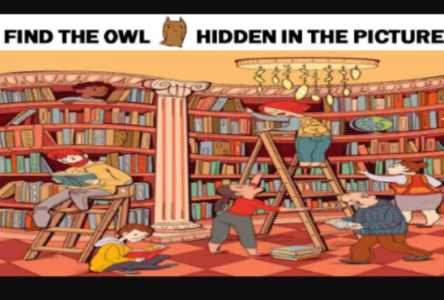 Picture Puzzles: Intelligent people can find the Owl in this Library
