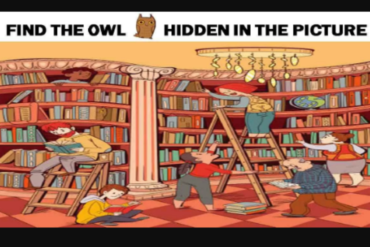 Picture Puzzles