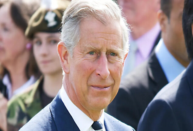 King Charles bids royal admirers a ‘happy and healthy’ 2023