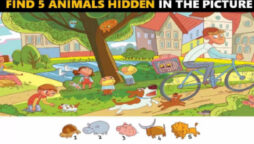 Picture Puzzle: Find all animals in the image in 11 seconds