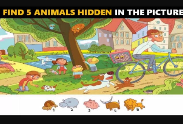 Picture Puzzle: Find all animals in the image in 11 seconds