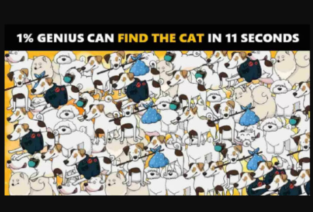 Picture Puzzle: Find the cat in 11 seconds