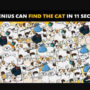 Picture Puzzle: Find the cat in 11 seconds