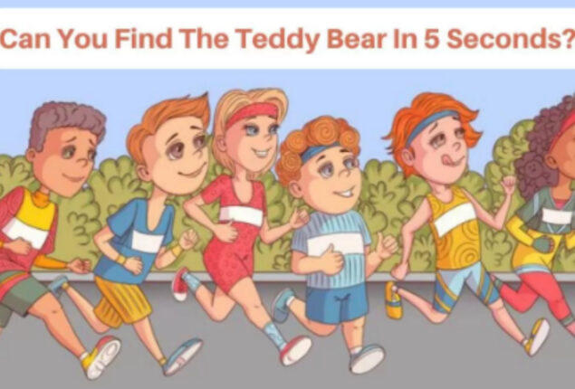 Brain Teaser: Find the teddy bear in five seconds