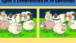 Spot The Difference: Spot the five differences in only 19 seconds