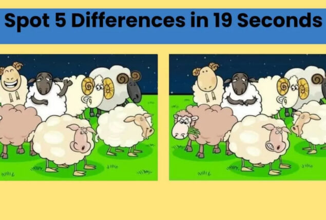 Spot The Difference: Spot the five differences in only 19 seconds