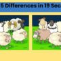 Spot The Difference: Spot the five differences in only 19 seconds