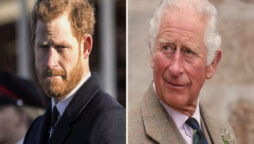 Prince Harry drags King Charles III for making offensive jokes