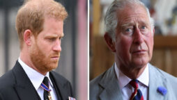 King Charles is preparing to use his axe in response to Harry’s accusations